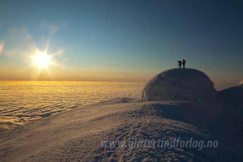 Sondre og Øyvind på Haakon VII topp i midnattssol. Utover nordishavet ligger et tett havtåketeppe på et par hundre meter over havet og reflekterer det gylne sollyset.