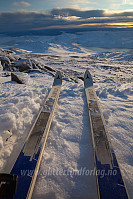Ski i snøfattig landskap. Trofaste "all-terrain"-planker fra 1992.