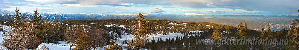 Trivelig skogsterreng opp mot Tåråfjellet. Til høyre i bildet ses Notodden.