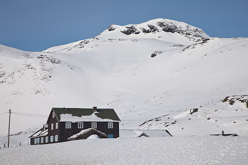 En gammel gubbe, fersk på kjøreski, er ikke akkurat bortskjemt med å sette spor ned en fin enkel fjellside. Men det var moro!!