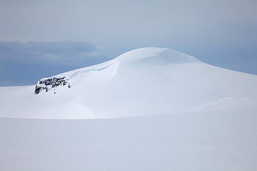Snønipa, en kremhvit kul mot himmelranda. Bildet er tatt rett før nordtoppen på Kvannefjellet i øst.