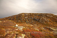 mortenh_20120922029.jpg