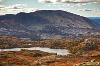 mortenh_20120922030.jpg