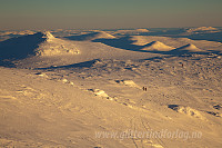 mortenh_20121208397.jpg