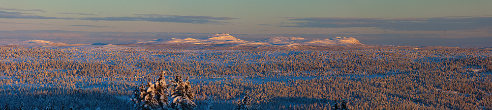 Djuptjernkampen og Røssjøkollane.