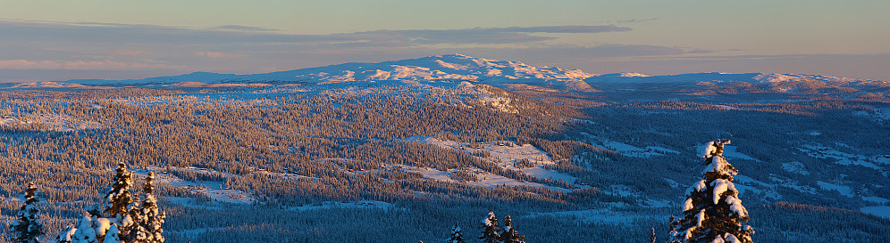 Mot Synnfjellet.