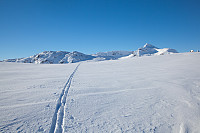 Et enslig skispor med Galdebergtinden bak.