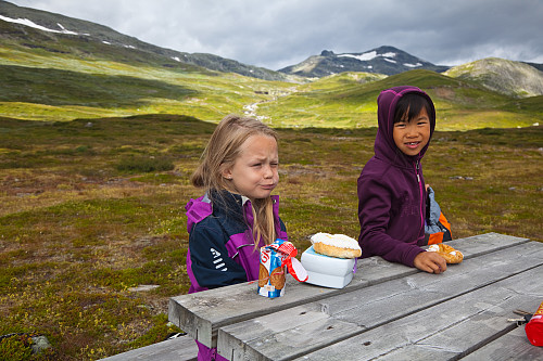 Det var litt kaldt når vi spiste kjempekjappe kallorier før start. Langt bak er toppen.