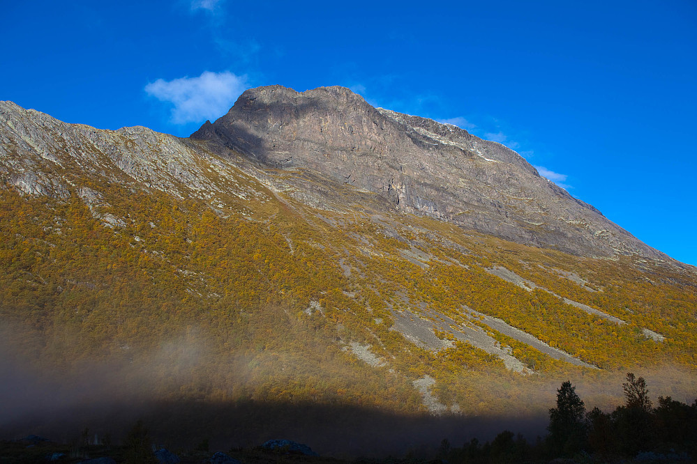 Skutshorn fra Sanddalen.