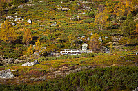 mortenh_20130920403.jpg