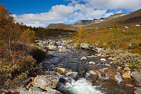 mortenh_20130920414.jpg