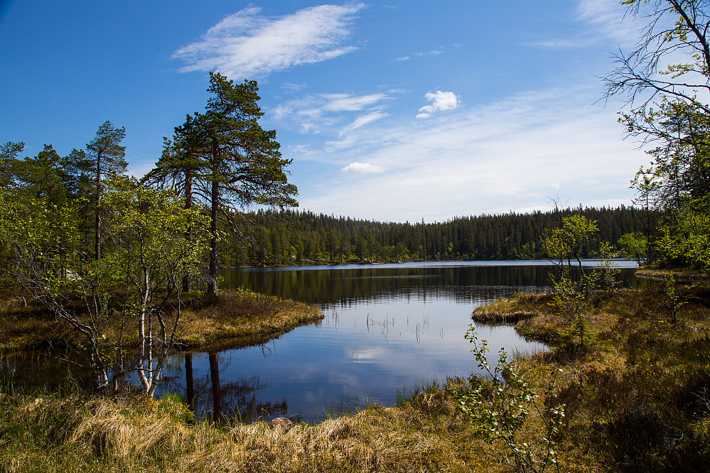 Idyllisk ved Lårvika i Finnemarka.