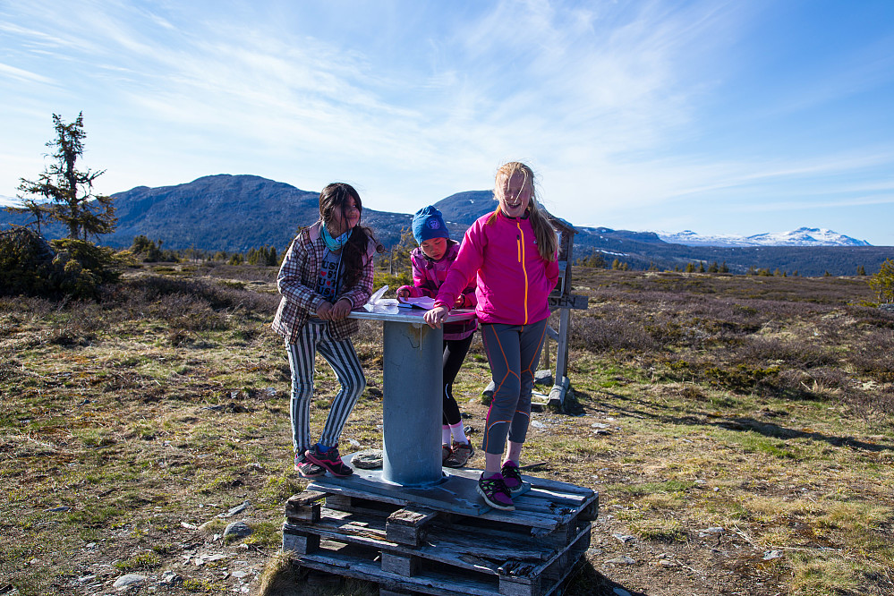 Dina, jeg og Vilde på toppen.