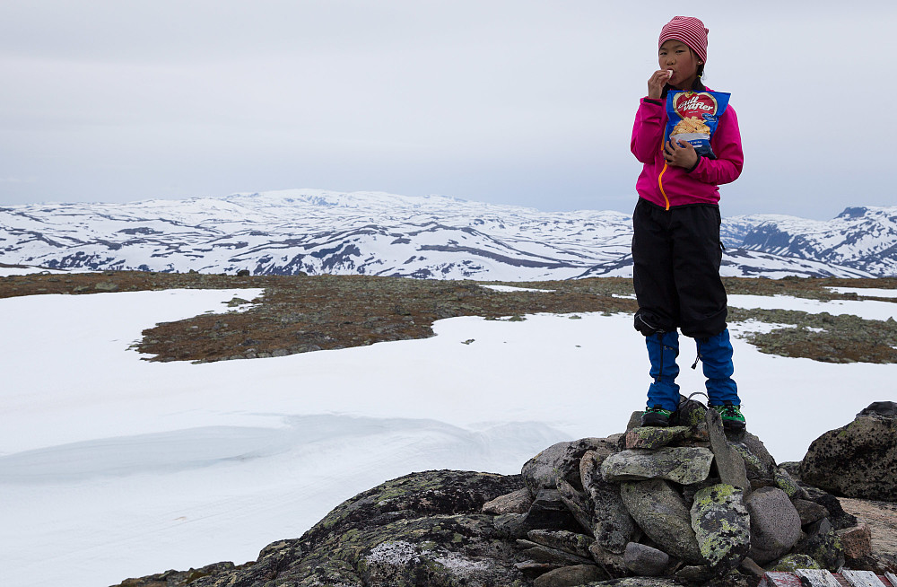 På toppen med Gullvafler