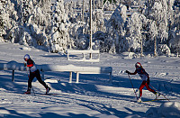 mortenh_20160116_569a79631ba0a.jpg