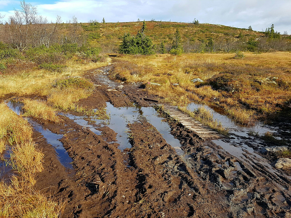 Det er ikke bare masta på toppen som preger Spåtind.  Også trafikken til og fra setter dype spor. Er dette virkelig nødvendig?