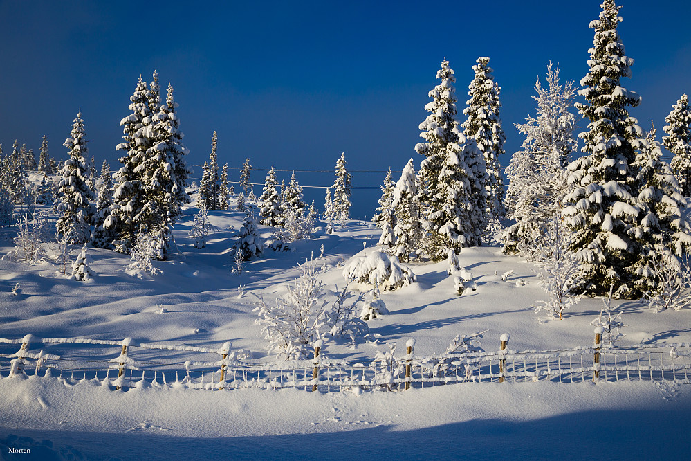 Fint med vinter, her ved parkeringen.