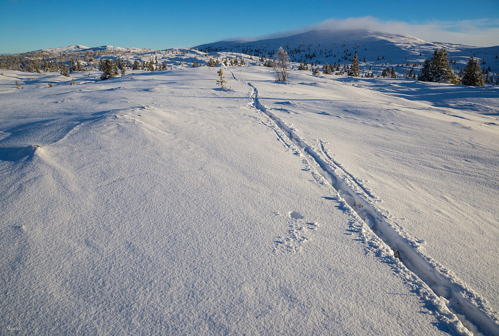 Mot Smørlifjellet.