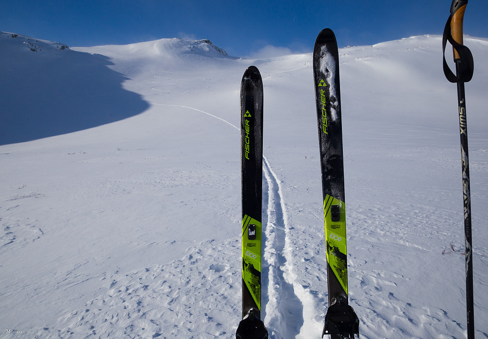 Nye ski. Det er jo alltid gøy. Her øst for Høgesyningen.