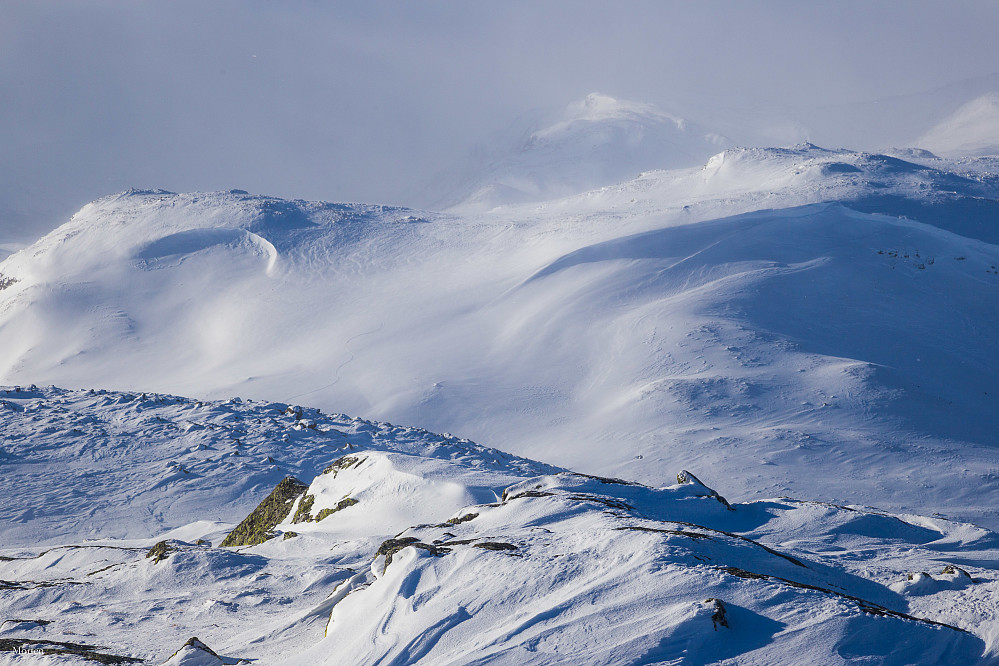 Fra Storeskardnose vestover mot Raudberg. Sporene mine kan skimtes.