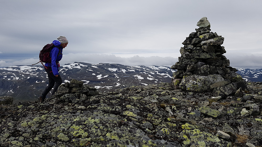Toppen på Svarteknippa.