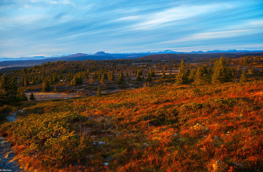Fine høstfarger i lia mot Smørlifjellet. Rundemellen og Skaget bl.a. i horisonten.
