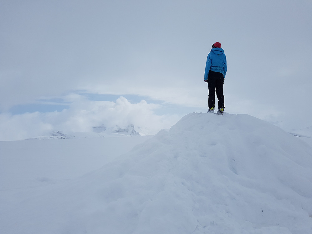 Det blei bittelitt utsikt på toppen. Men egentlig ikke så mye. Vilde hadde bedre utsikt på toppen sin litt lenger borte.