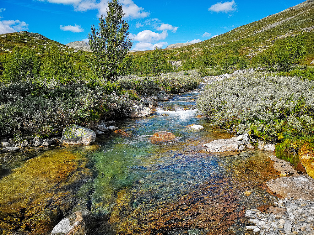 Ved kryssing av Lysebottåne. Idyllisk elv.