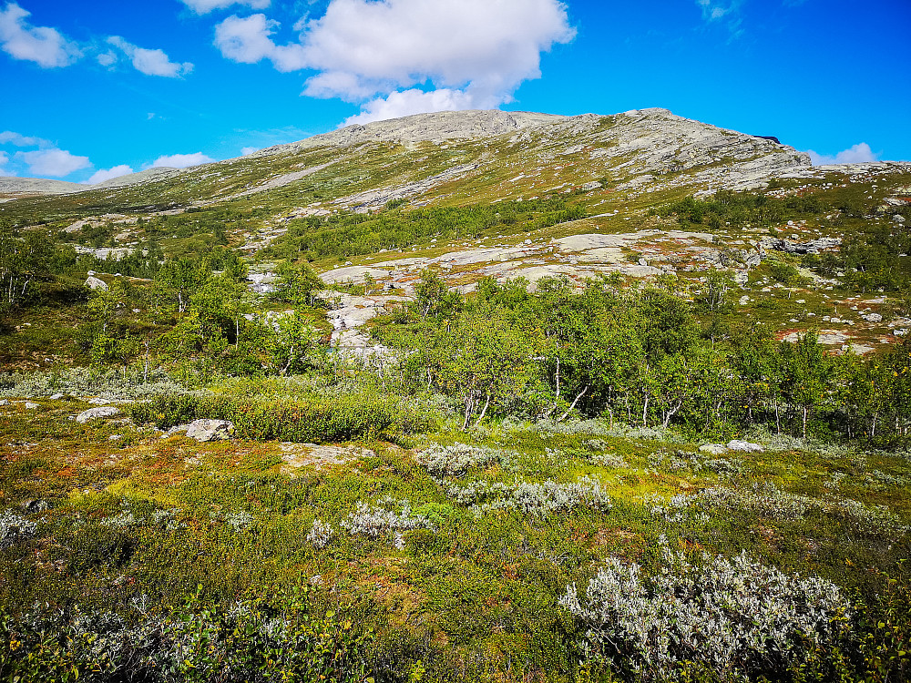 Tilbakeblikk opp flanken mot Hydalsberget.