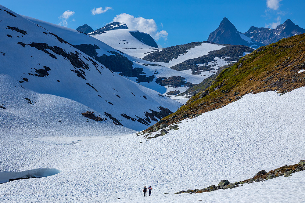 På vei ut dalen. Ser du godt etter ser du akebrettsporene våre i snøen langt bakider.
