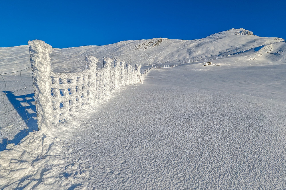 Nydelig snø i skaret vest for Grindane. Her mot toppen.