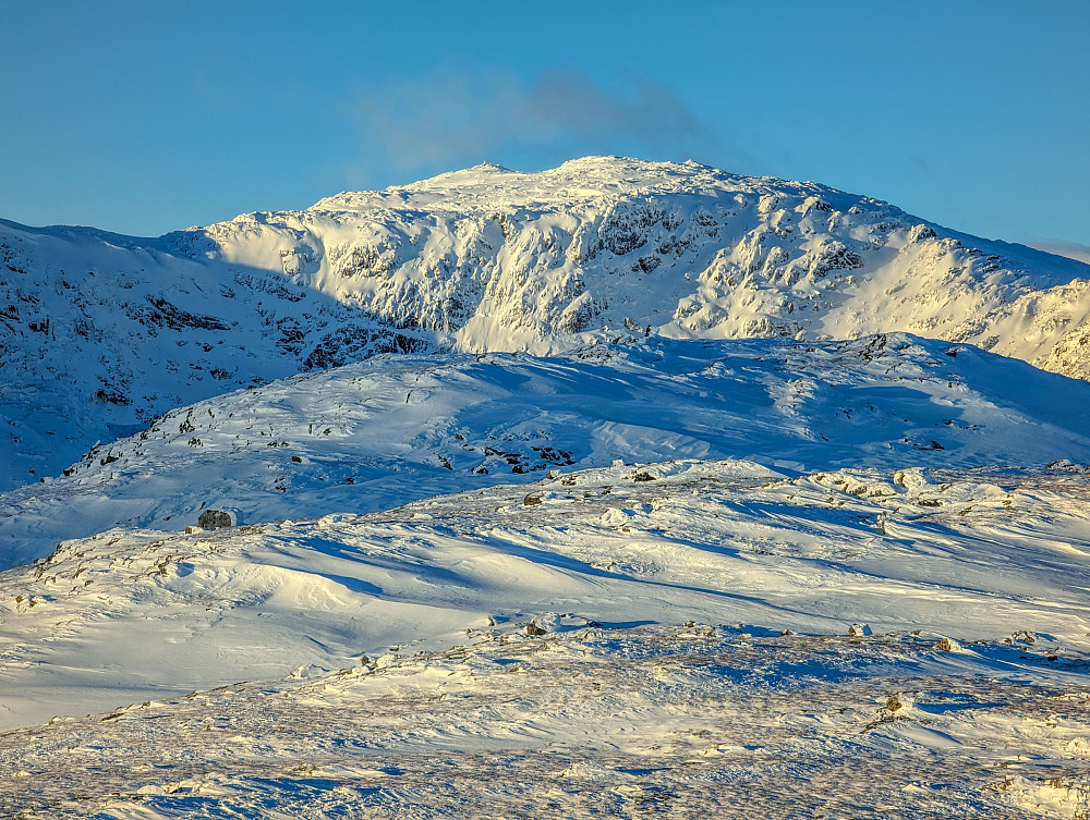 Nærstudie av Berdalseken.
