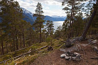 Fjordblikk fra toppen.