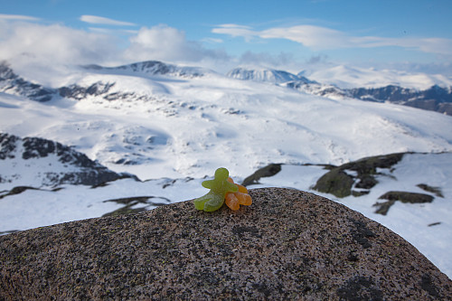 På Rasletind sa pappa at han skulle herme etter en som heter Garm. Han pleier visst alltid å ta bilde av en seigmann når han er på fjelltoppen. Pappa tok bilde av to han!