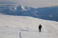 mortenh_kalve111114-012.jpg