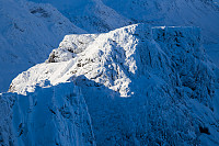 mortenh_kalve111114-020.jpg