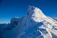 mortenh_kalve111114-025.jpg