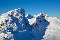 mortenh_kalve111114-027.jpg