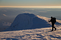 mortenh_kalve111114-038.jpg