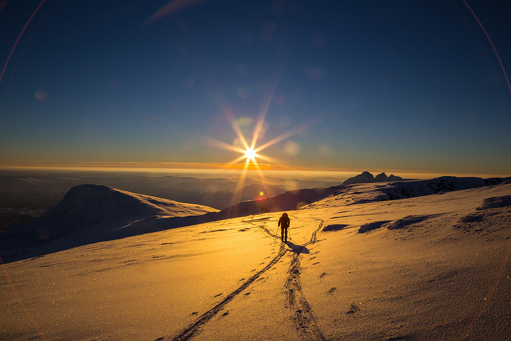 Glødende solnedgang ved Midtre Kalvehøgde. Torfinnstinder i bakgrunnen. Gal Krokfot dukket opp som alternativt fotomotiv til han Gjermund en kort stund.