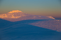 mortenh_kalve111114-046.jpg