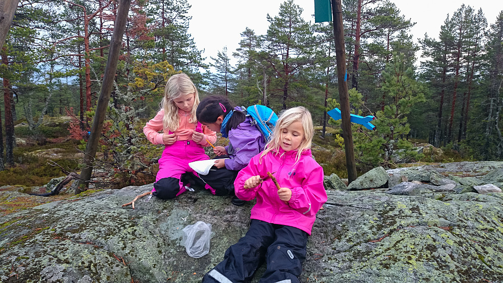 Det er obligatorisk å skrive seg inn i toppebøker når de forefinnes.