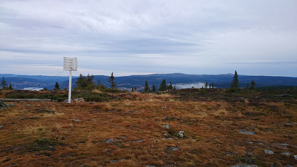 Grått og bart på toppen av Skardåsen 3.11.