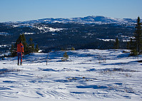 Fra Skardåsen mot neste mål - Smørlifjellet (1160 moh).