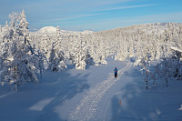 mortenh_smorli080214-825.jpg