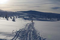 mortenh_smorli080214-831.jpg