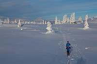 mortenh_smorli080214-836.jpg
