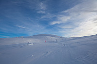 mortenh_smorli080214-839.jpg