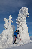 mortenh_smorli080214-846.jpg