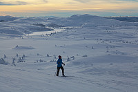 mortenh_smorli080214-850.jpg